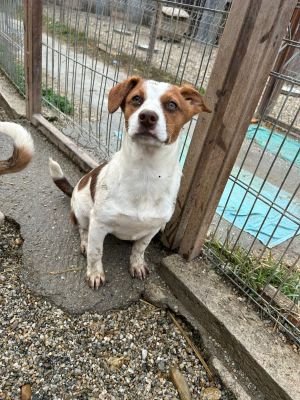 WhatsApp Bild 2025 11 21 um 17.32.06 397d14ae