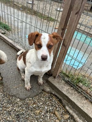 WhatsApp Bild 2025 11 21 um 17.32.07 d4fa25af