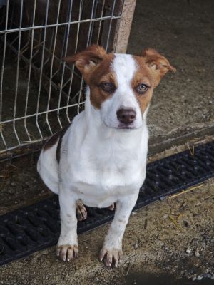 WhatsApp Bild 2025 11 21 um 17.32.17 00bba150