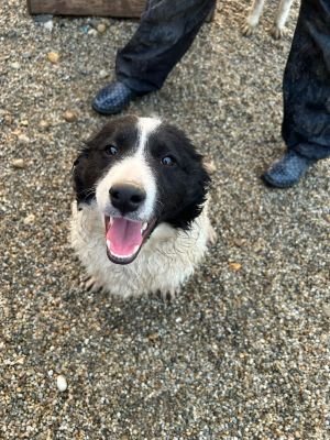 WhatsApp Bild 2025 11 21 um 17.33.08 6fc1eebc