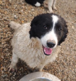 WhatsApp Bild 2025 11 21 um 17.33.32 47968a88