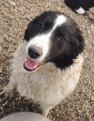 WhatsApp Bild 2025 11 21 um 17.33.34 717e4adb