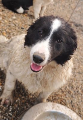 WhatsApp Bild 2025 11 21 um 17.33.34 bbc92301