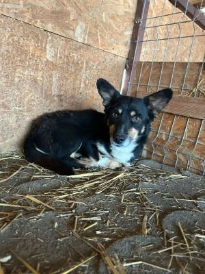 WhatsApp Bild 2025 11 21 um 17.35.53 a1b69da8