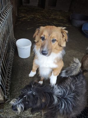 WhatsApp Bild 2025 11 21 um 17.38.29 45299a67