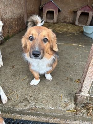 WhatsApp Bild 2025 11 21 um 17.39.02 3c32a7d7