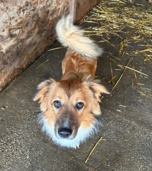 WhatsApp Bild 2025 11 21 um 17.39.05 c8d6c3fa