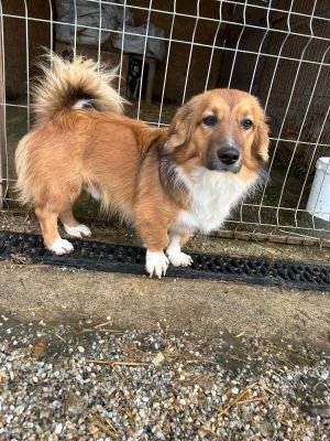 WhatsApp Bild 2025 11 21 um 17.39.05 f99d84c3