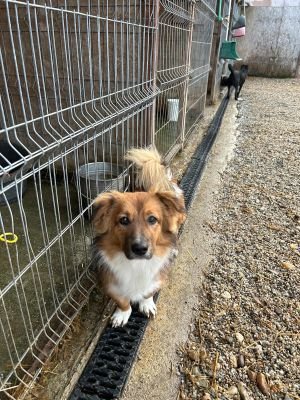 WhatsApp Bild 2025 11 21 um 17.39.08 bcdf594b