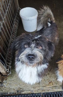 WhatsApp Bild 2025 11 21 um 17.41.13 a52fe286