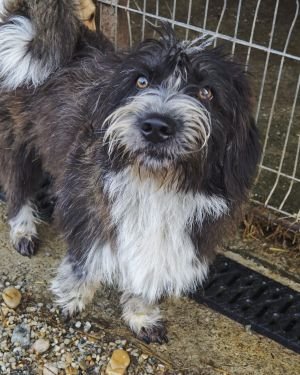 WhatsApp Bild 2025 11 21 um 17.41.14 705d73cc