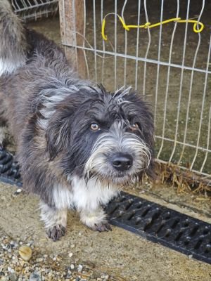 WhatsApp Bild 2025 11 21 um 17.41.14 83a9e357