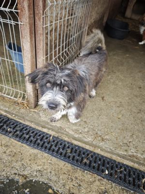 WhatsApp Bild 2025 11 21 um 17.41.15 55bf7ee7