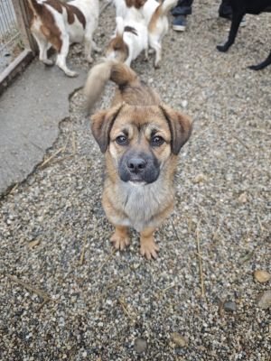 WhatsApp Bild 2025 11 21 um 17.43.41