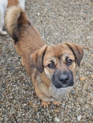 WhatsApp Bild 2025 11 21 um 17.43.41 7bebf9c2