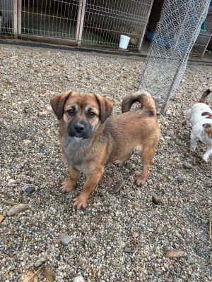 WhatsApp Bild 2025 11 21 um 17.44.03 5e43c542