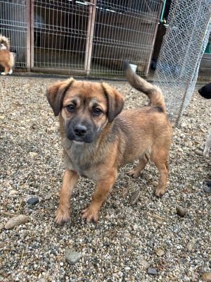 WhatsApp Bild 2025 11 21 um 17.44.03 6993d7a5