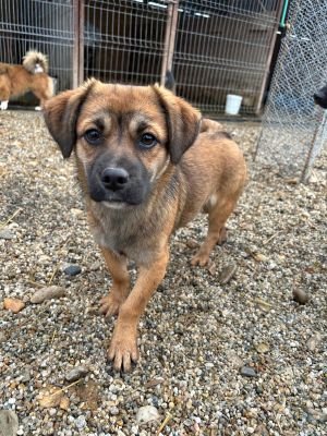 WhatsApp Bild 2025 11 21 um 17.44.03 b81c2b94