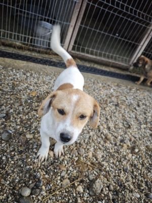 WhatsApp Bild 2025 11 21 um 18.26.30 52965df3