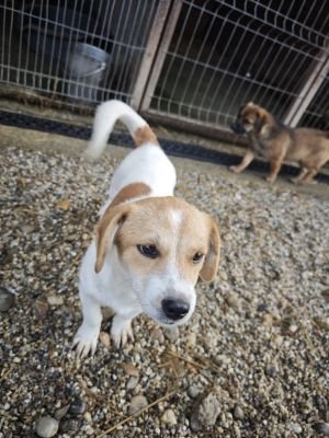 WhatsApp Bild 2025 11 21 um 18.26.30 a10af6c7