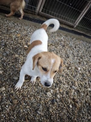 WhatsApp Bild 2025 11 21 um 18.26.30 be7397ac