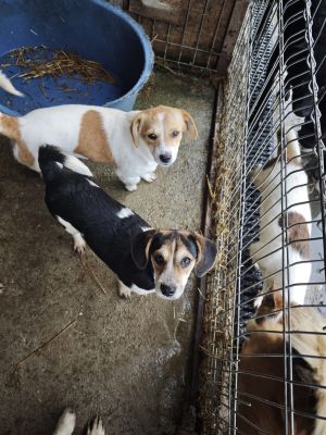 WhatsApp Bild 2025 11 21 um 18.26.31 193ac37e