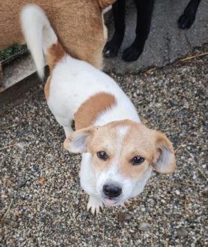 WhatsApp Bild 2025 11 21 um 18.26.31 3f6c0ace