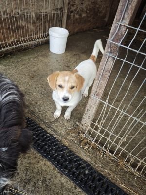 WhatsApp Bild 2025 11 21 um 18.26.31 575d3e95