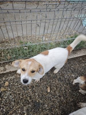 WhatsApp Bild 2025 11 21 um 18.26.31 5eaa4cc9