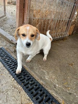 WhatsApp Bild 2025 11 21 um 18.26.31 6ed3df3b