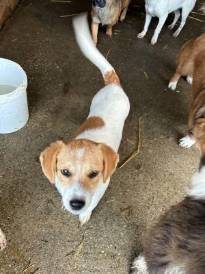 WhatsApp Bild 2025 11 21 um 18.26.31 80bf3b4f