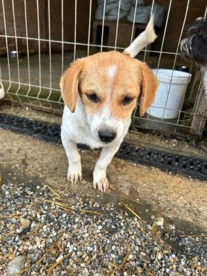 WhatsApp Bild 2025 11 21 um 18.26.31 cbeebd55