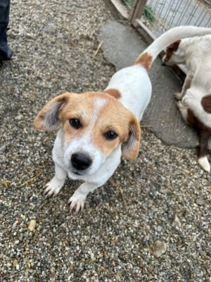 WhatsApp Bild 2025 11 21 um 18.26.32 14e218dd