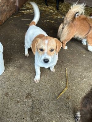 WhatsApp Bild 2025 11 21 um 18.26.32 7f5e54b3