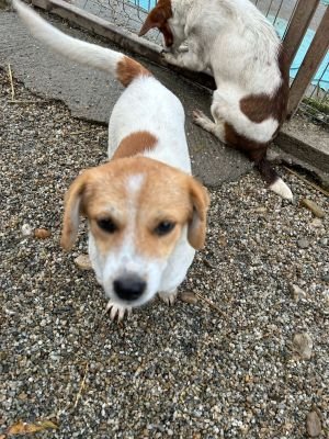 WhatsApp Bild 2025 11 21 um 18.26.32 e5720d78