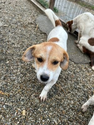 WhatsApp Bild 2025 11 21 um 18.26.33 61096f86