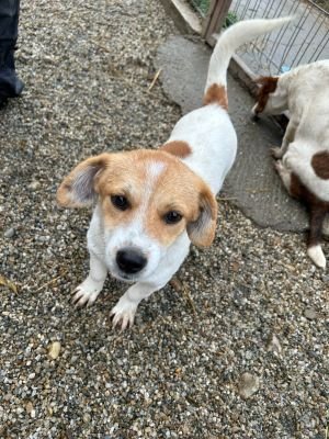 WhatsApp Bild 2025 11 21 um 18.26.33 fb68d251