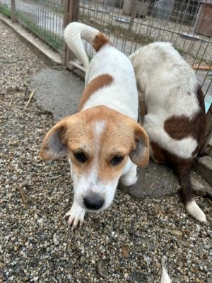 WhatsApp Bild 2025 11 21 um 18.26.33 fc915d92