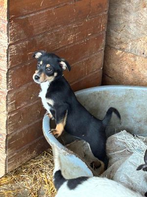 WhatsApp Bild 2025 11 22 um 17.47.45 8520524e