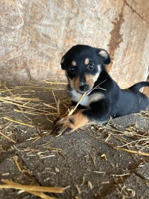 WhatsApp Bild 2025 11 22 um 17.47.47 e676096f