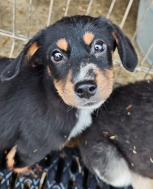 WhatsApp Bild 2025 11 22 um 17.49.05 342d8659