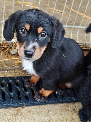 WhatsApp Bild 2025 11 22 um 17.49.08 3dcb2b5f