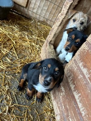 WhatsApp Bild 2025 11 22 um 17.49.35 1927883b