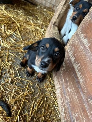 WhatsApp Bild 2025 11 22 um 17.49.35 443dc996