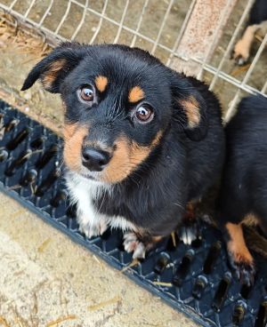 WhatsApp Bild 2025 11 22 um 17.51.08 c87d7464