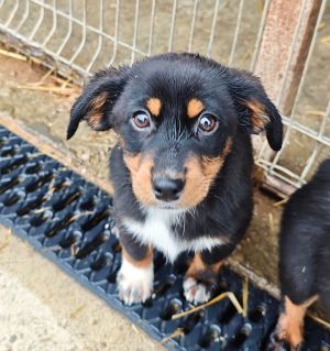 WhatsApp Bild 2025 11 22 um 17.51.09 41d588dc