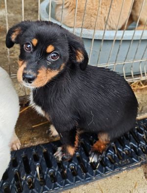 WhatsApp Bild 2025 11 22 um 17.51.10 342289bf