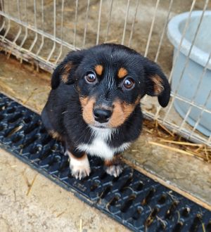 WhatsApp Bild 2025 11 22 um 17.51.11 a2d09dfd