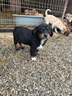 WhatsApp Bild 2025 11 22 um 17.52.26 e9e288ae