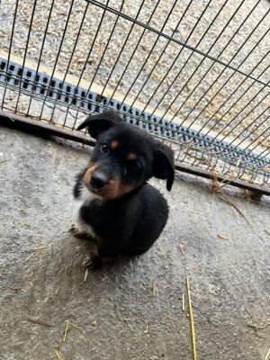 WhatsApp Bild 2025 11 22 um 17.52.27 ad610707